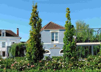 Champagne Henri Giraud: “The Greatest Champagne You’ve Never Heard Of”