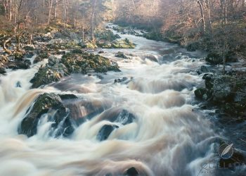 Catching My First Wild Trout Fly Fishing in Scotland